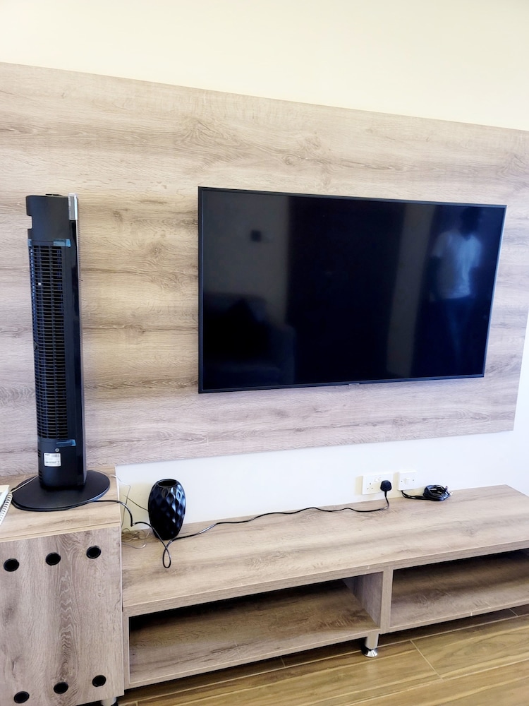 Television