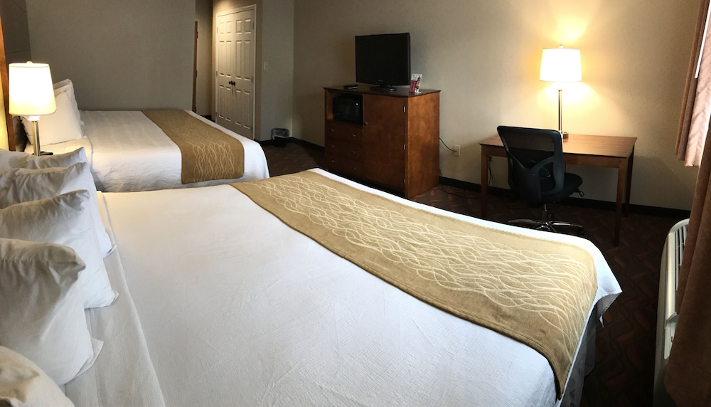 Wingfield Inn and Suites - photo 5