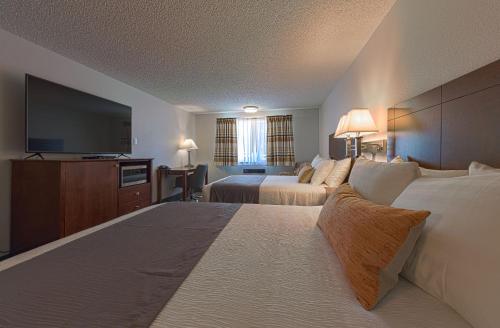 Silver Inn - photo 3