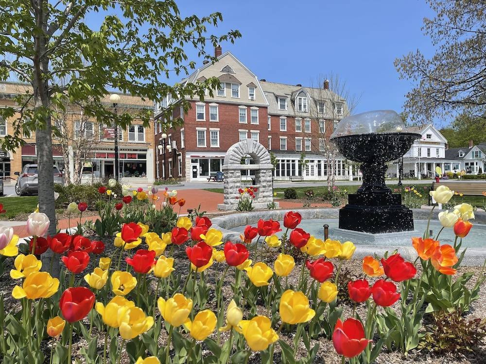 Brandon Inn - featured photo