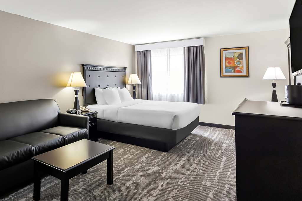 Best Western Saluki Inn - photo 5