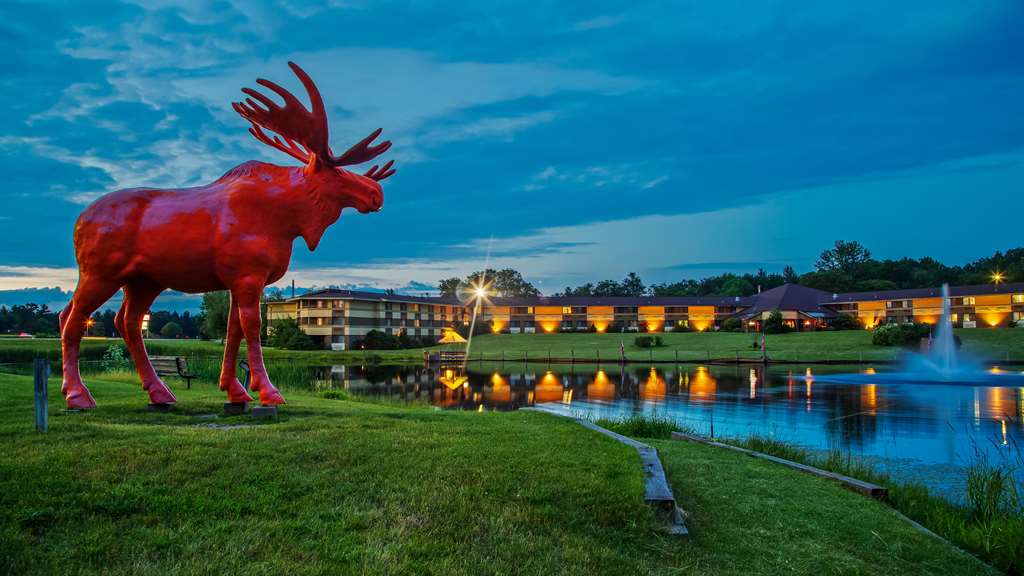 SureStay Plus Hotel by Best Western Black River Falls - photo 2