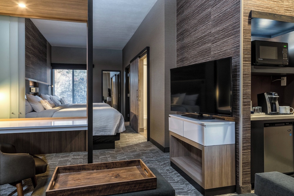 SpringHill Suites by Marriott Springdale Zion National Park - photo 4