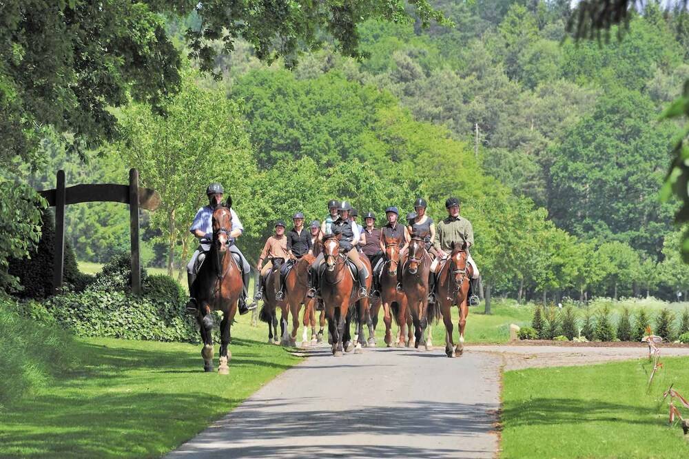 Horse Riding