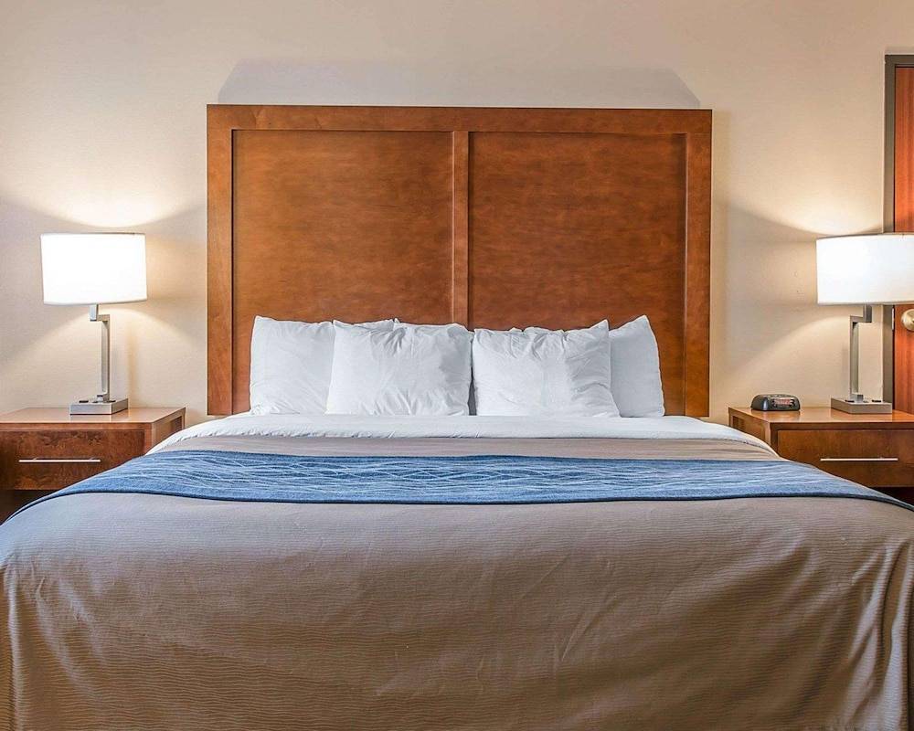 Bluffton Inn & Suites - photo 4