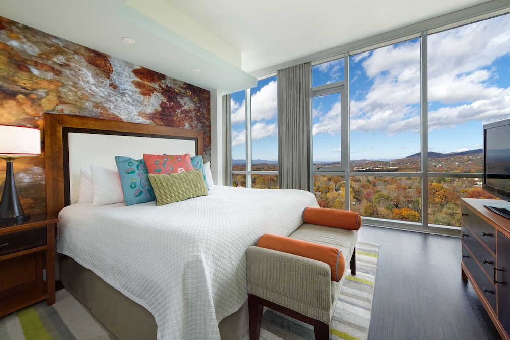 Hotel Indigo Asheville Downtown an IHG Hotel - featured photo