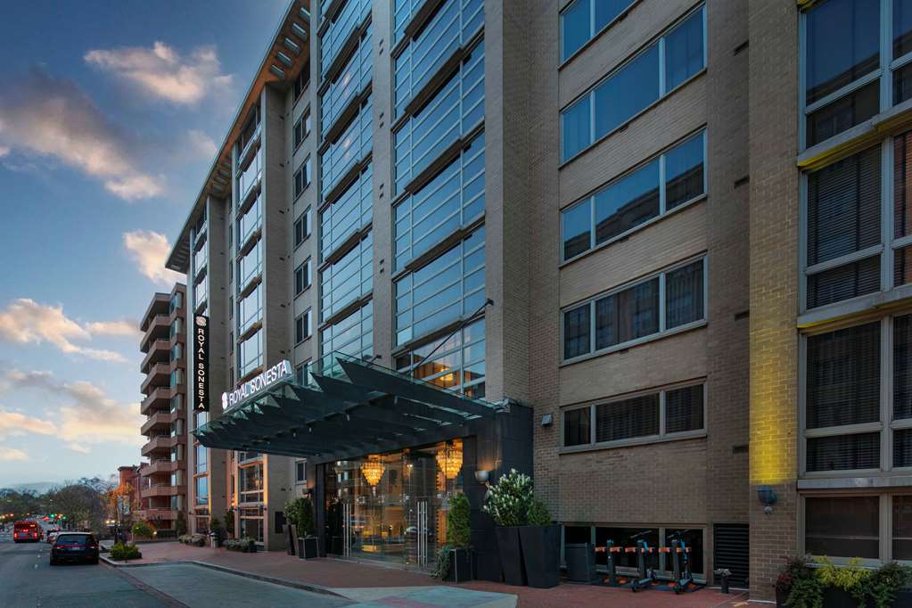 The Royal Sonesta Washington DC Dupont Circle - photo 3