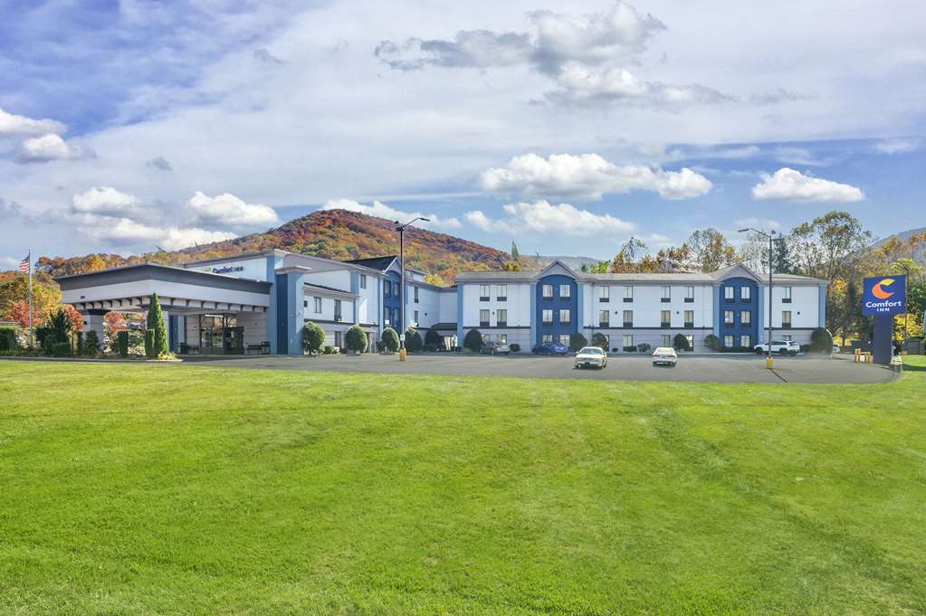 Comfort Inn Asheville East Blue Ridge Pkwy Access - featured photo