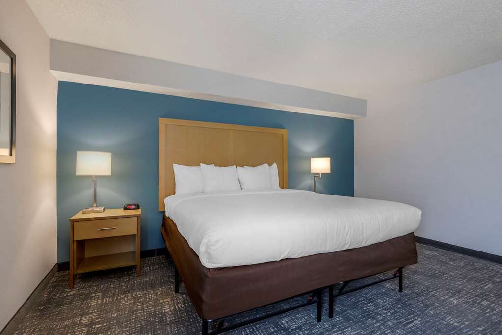 Comfort Inn & Suites Alexandria West - photo 4