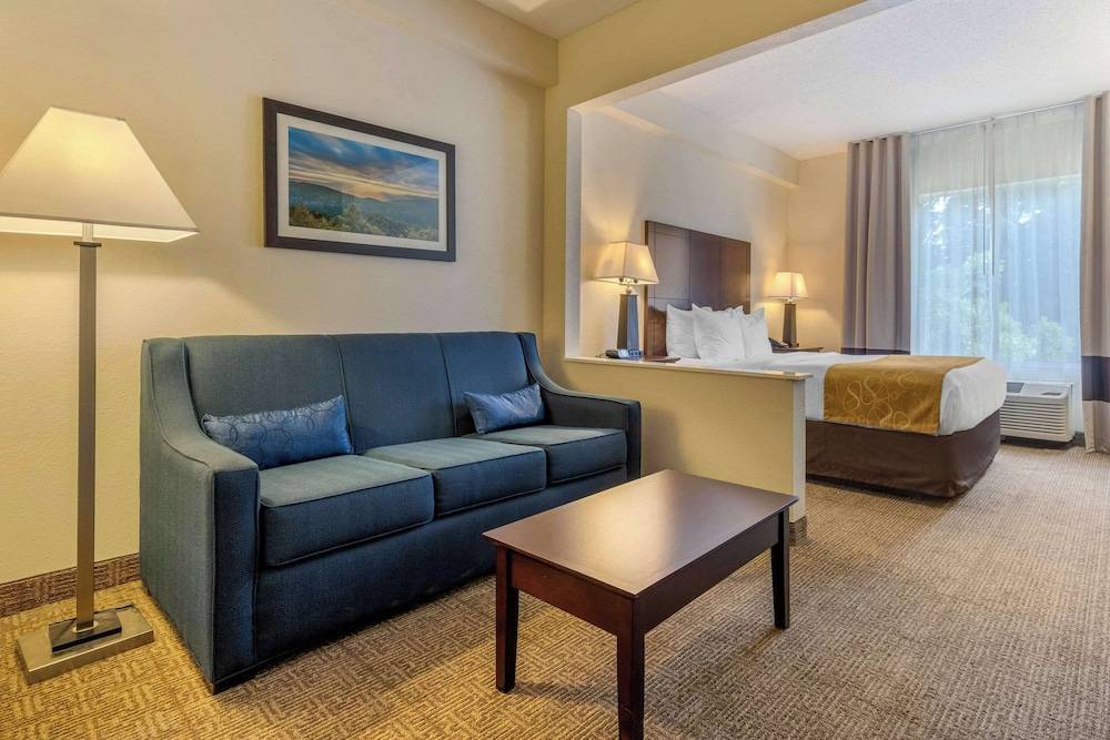 Comfort Suites Gastonia Charlotte - featured photo