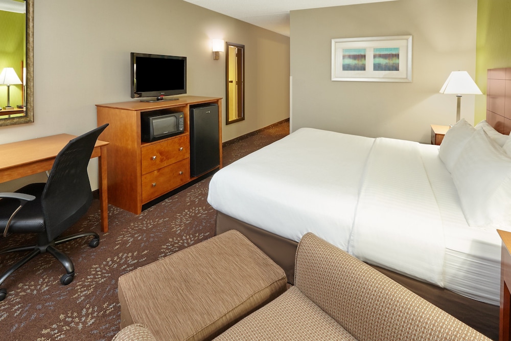 Holiday Inn Chicago Matteson Conf Center an IHG Hotel - photo 5